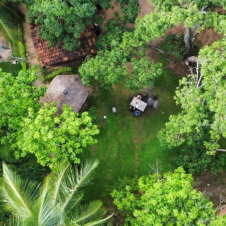 Eco Village Kalundewa Dambulla Extérieur photo