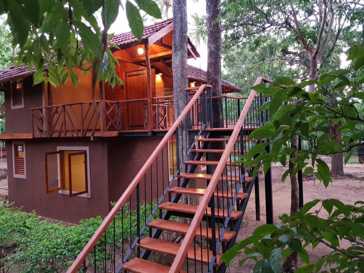 Eco Village Kalundewa Dambulla Extérieur photo