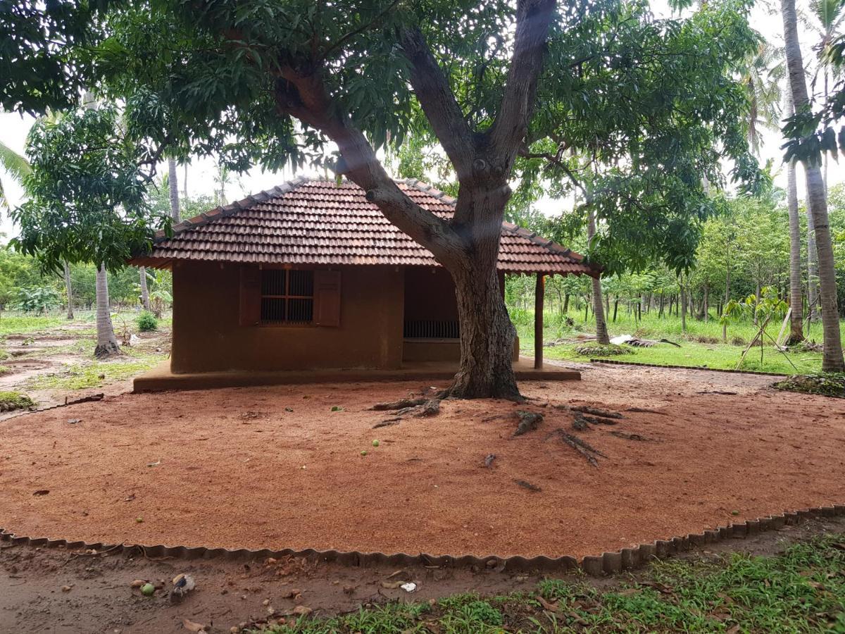 Eco Village Kalundewa Dambulla Extérieur photo