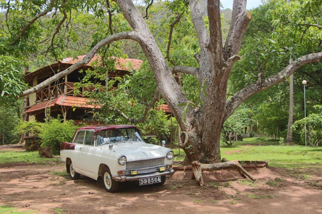 Eco Village Kalundewa Dambulla Extérieur photo
